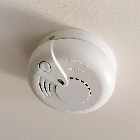 The Golden Waves - Family In * 帕兰加