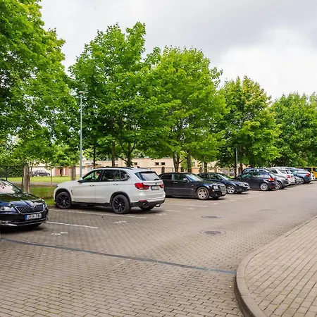 The Golden Waves - Family In * 帕兰加