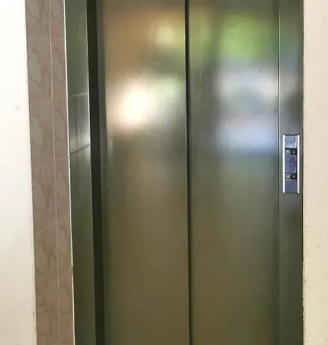 The Golden Waves - Family In Butas *